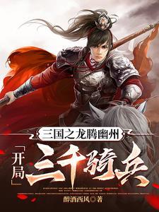 三国之龙徒免费