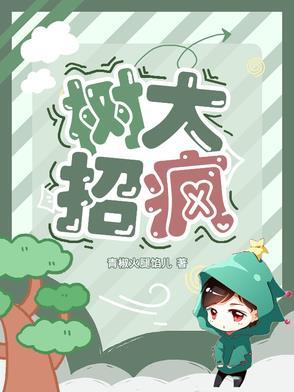 树大招风