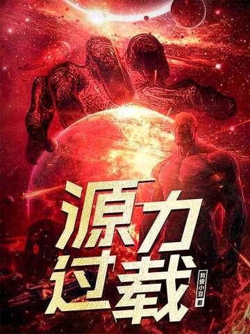 源力过载书旗网