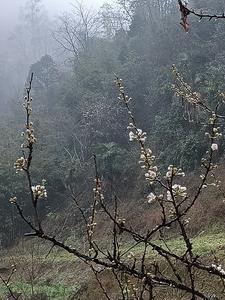 青春是遗憾