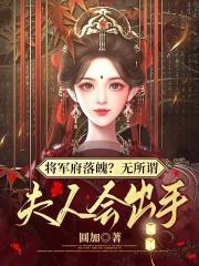 夫人会出手TXT