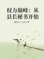 免费阅读权力巅峰1