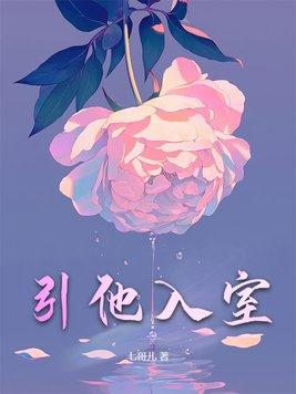 引什么入室四字词语