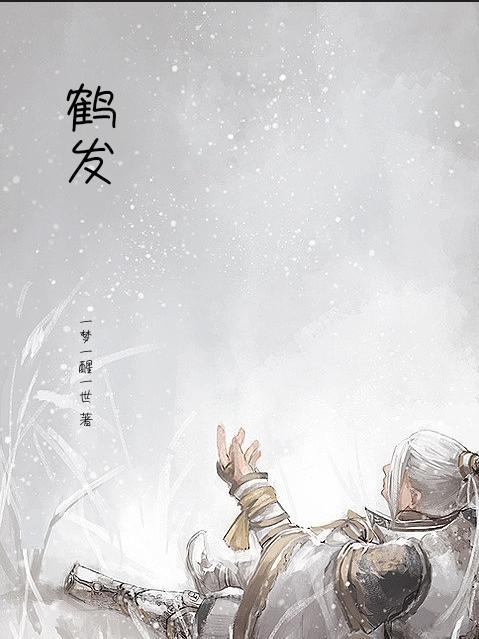 鹤发的意思