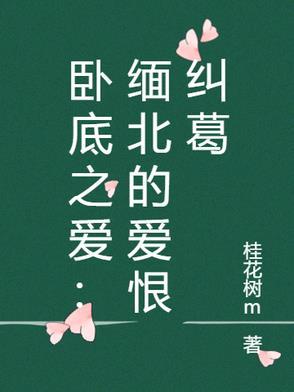 电视剧卧底1