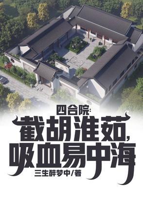 四合院之养父