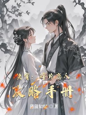碎片快乐是什么意思
