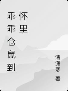 仓鼠 呆萌