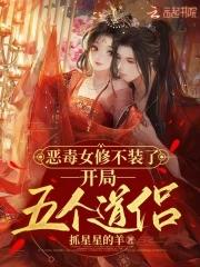 开局五个道侣免费阅读txt