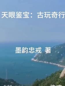 文物天眼