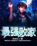 最强败家子系统