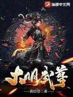 大明武夫顶点无弹窗