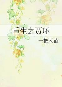 重生贾环锦衣卫