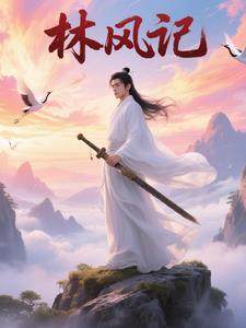 林风无敌记