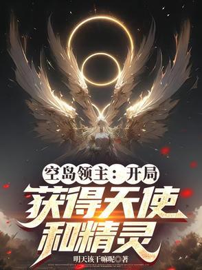 空岛领主开局获得天使和精灵的