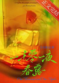 一千零一夜春露宝光相直笔趣