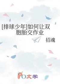 排球少年赌在春高上的青春