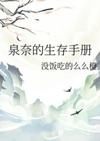 火影名为泉奈