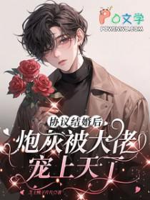 协议结婚后炮灰被大佬宠上天了(穿越重生)