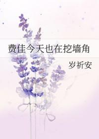 费佳是什么意思
