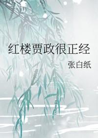 红楼之贾政